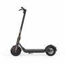 Электросамокат Ninebot KickScooter F30 (Черный)