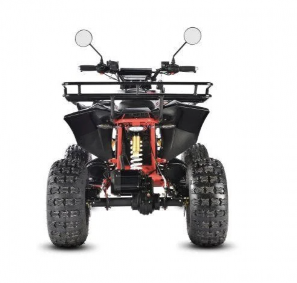 Электроквадроцикл WHITE SIBERIA SNEG PRO 3000W