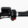 Электроскутер Skyboard Amur Red BR100 5000W
