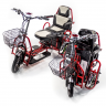 Электротрицикл Elbike Адъютант Double (a3)